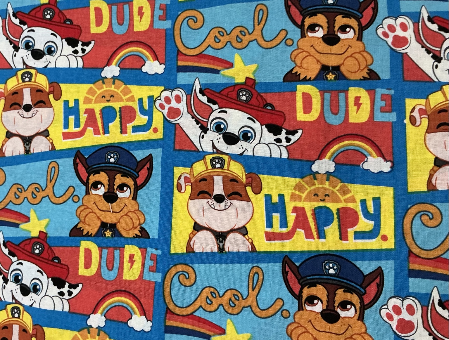 Paw Patrol Blocks fabric swatch